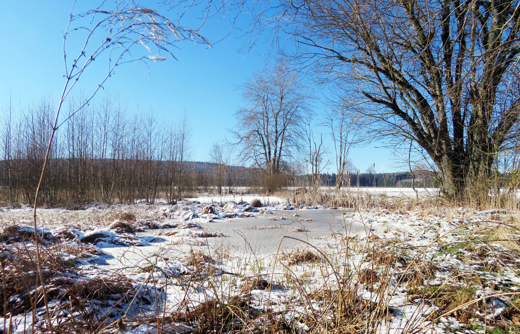 "Neue Hülbe" im Winter