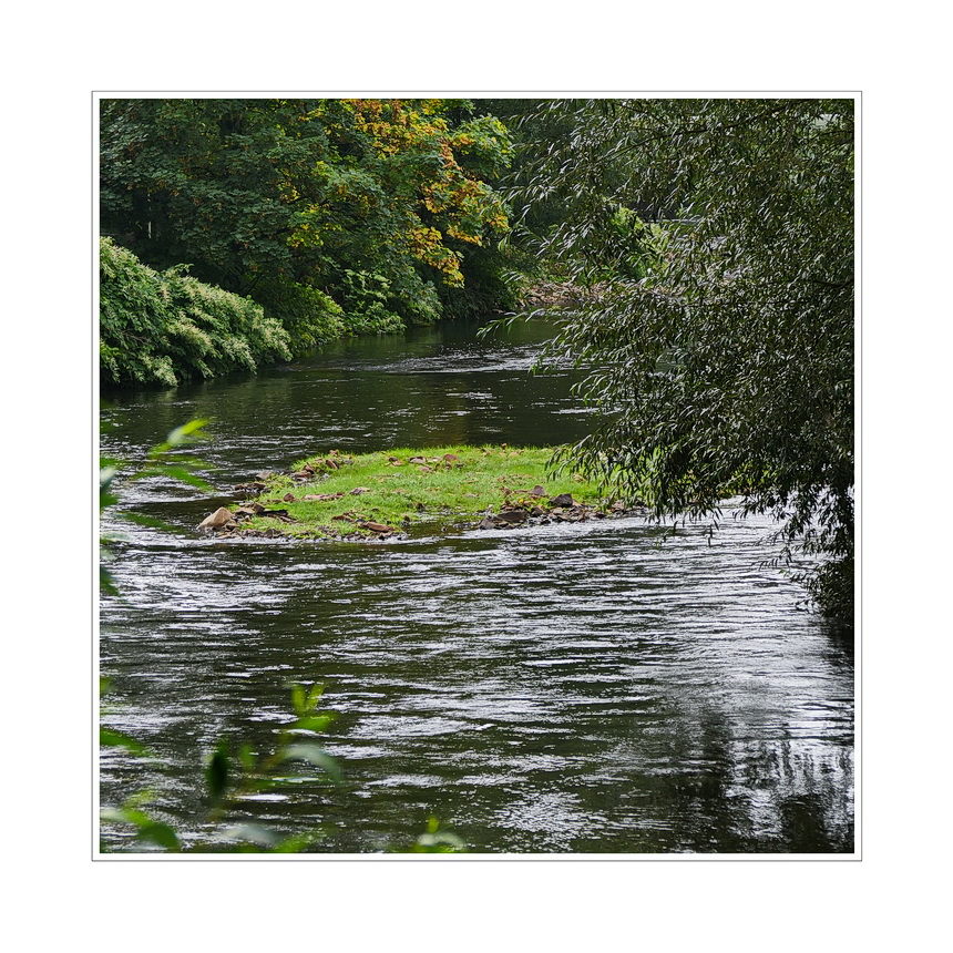 Neue Insel in der Wupper (Wuppertal-Arrenberg)