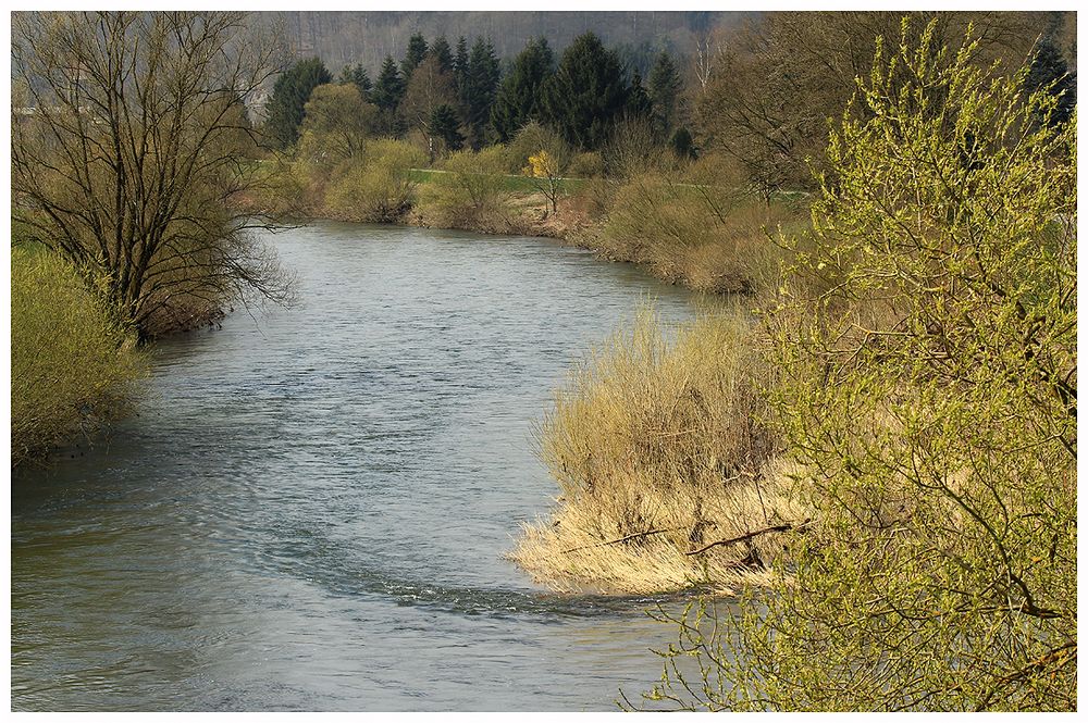 ...neue Kraft... (der Frühling)