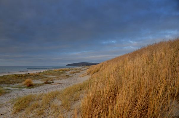 Neue Kraft/ Ruhe tanken