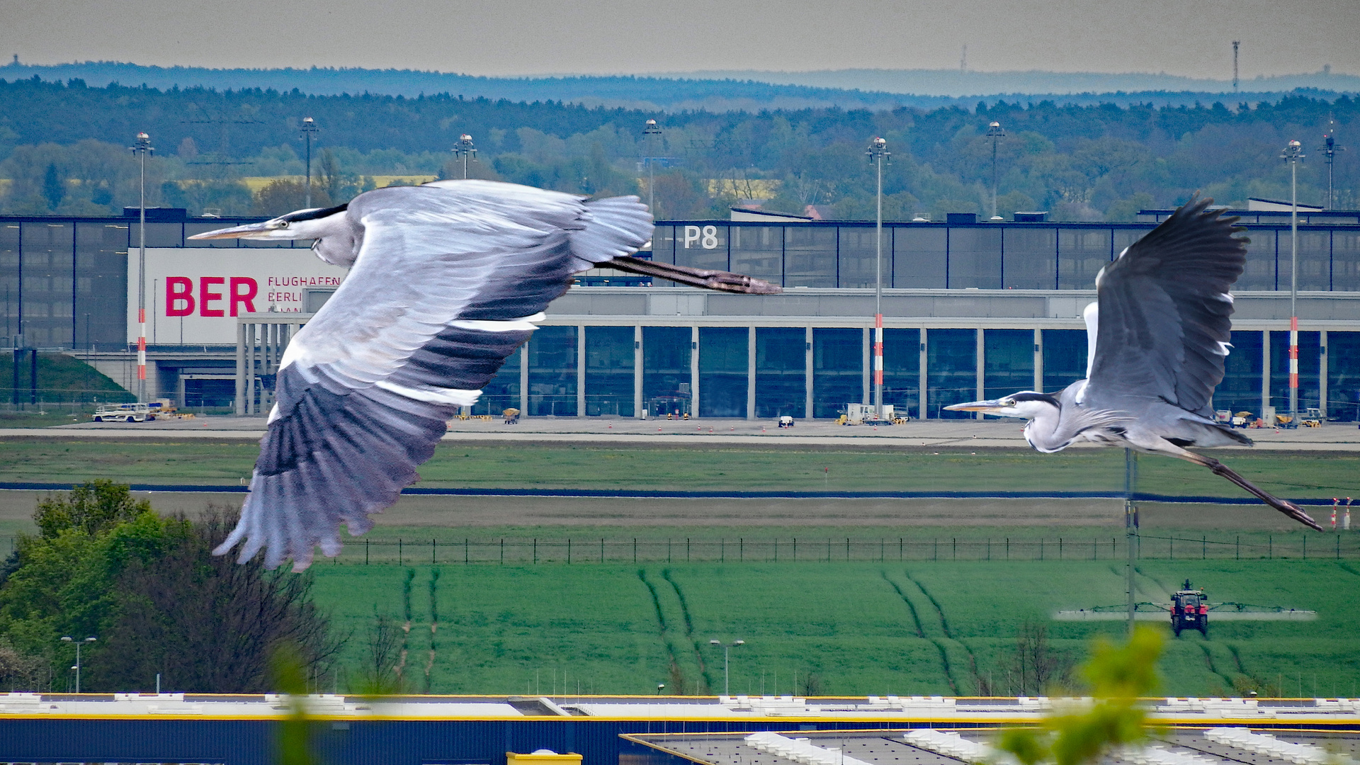 neue Lufthansaflotte