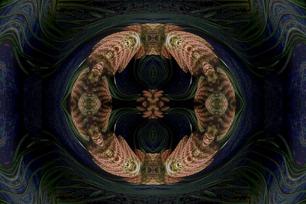 Neue Perspektive der unbekannten Blüte