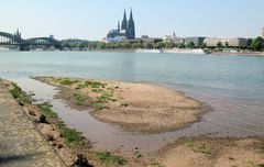 Neue Rheininsel vor Köln - touristisch noch nicht erschlossen