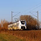 Neue S-Bahn auf der Riedbahn