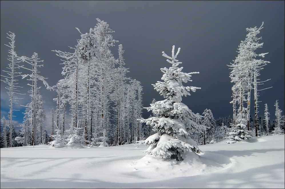 ...neue Schneefront...