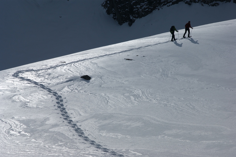 Neue Spuren im alten Schnee