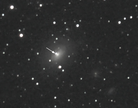 neue Supernova im Sternbild Schwan