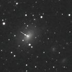 neue Supernova im Sternbild Schwan