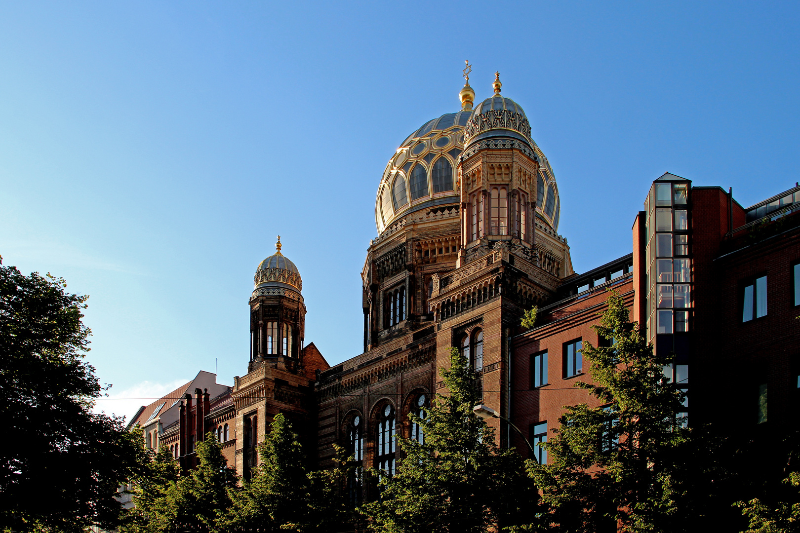 ~ Neue Synagoge ~