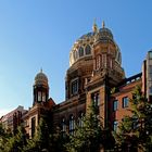 ~ Neue Synagoge ~