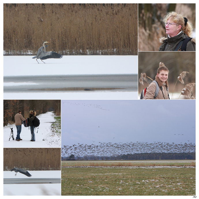 Neue Teich-Impressionen