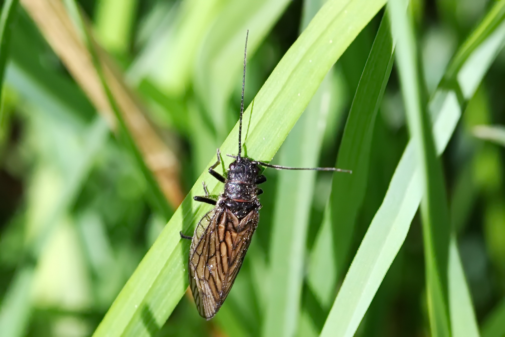 neue Wege gehen