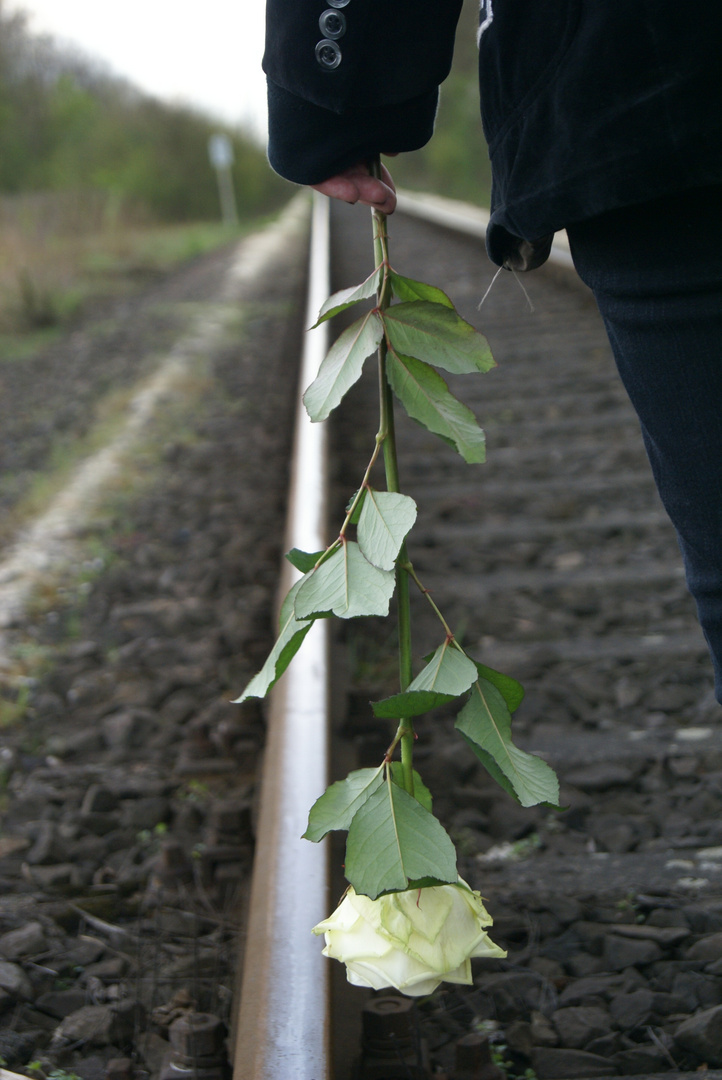 neue wege gehen