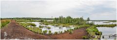 neue Wege im Moor