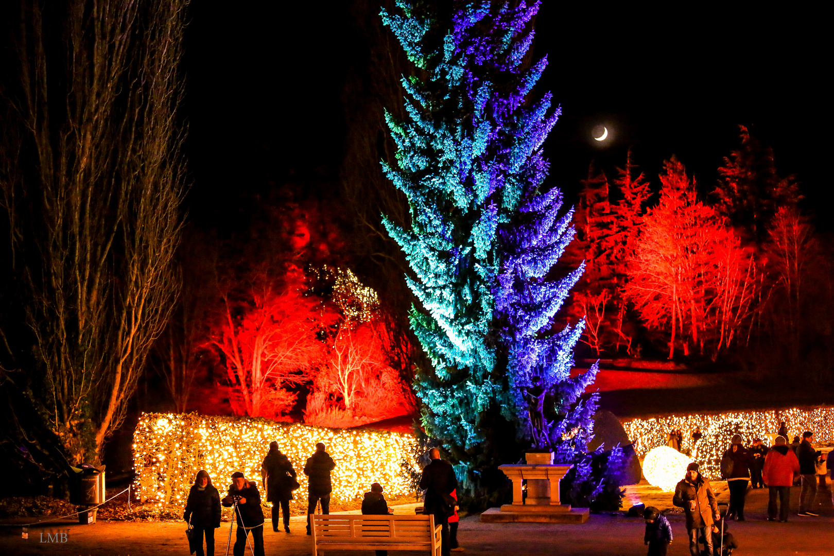 Neue Weihnachtslichter