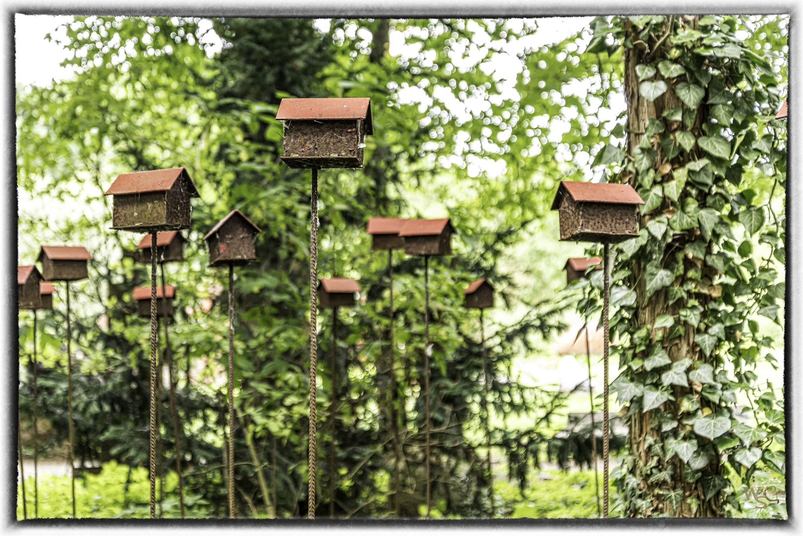 neue Wohnungen Foto & Bild | fotos, stillleben ...