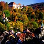 NEUENBÜRG/Enz, Schlossberg v, Westen! 