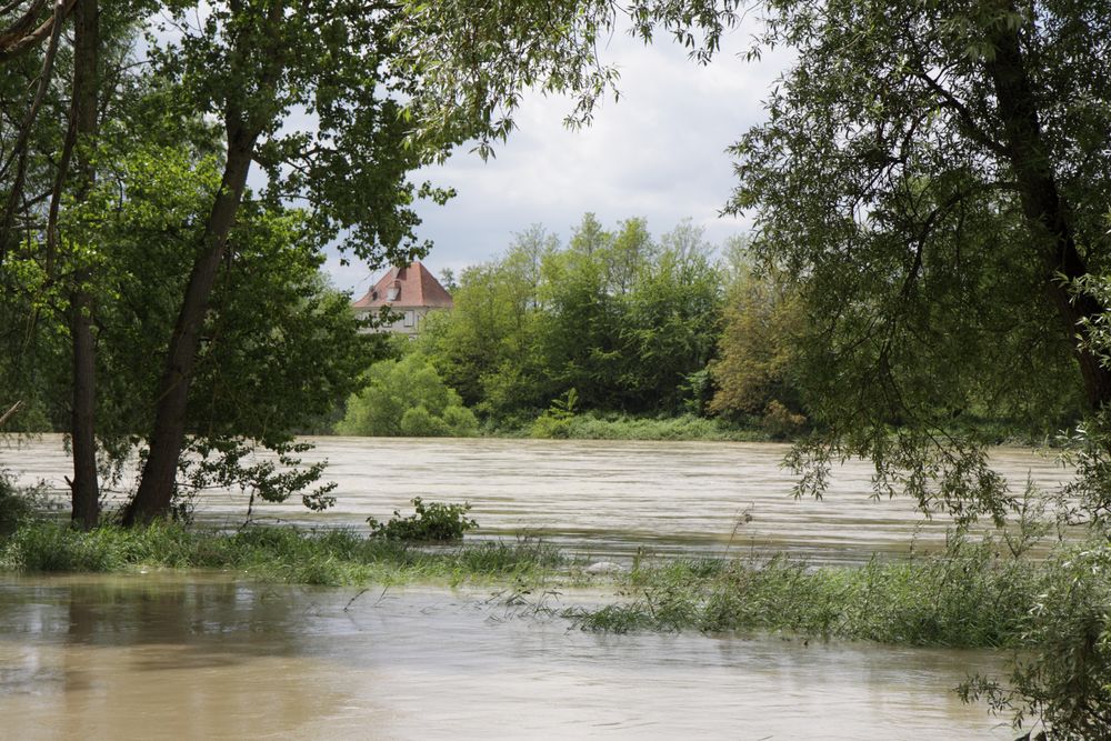 Neuenburg, Rheingärten, Altrhein