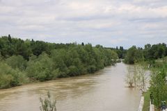 Neuenburg Rheingärten, Altrhein