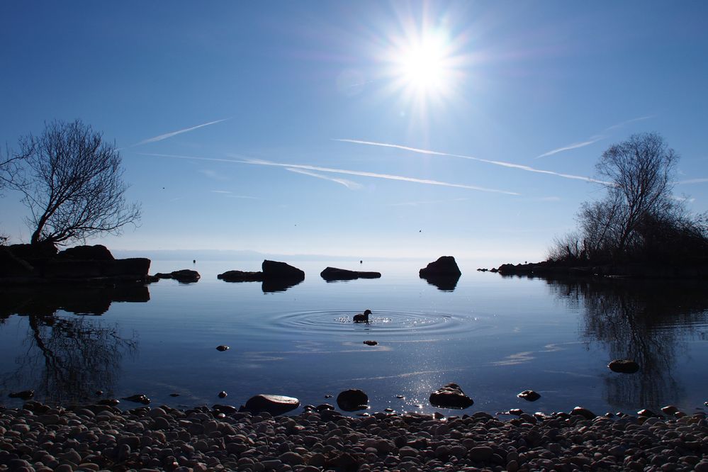 Neuenburgersee