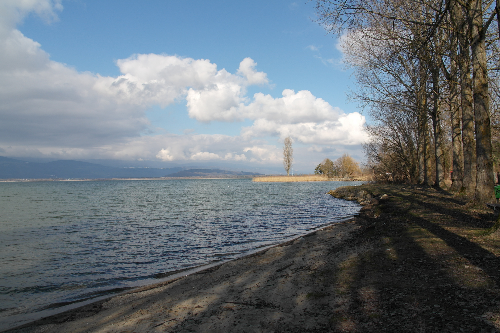 Neuenburgersee (Samsung NX 20)