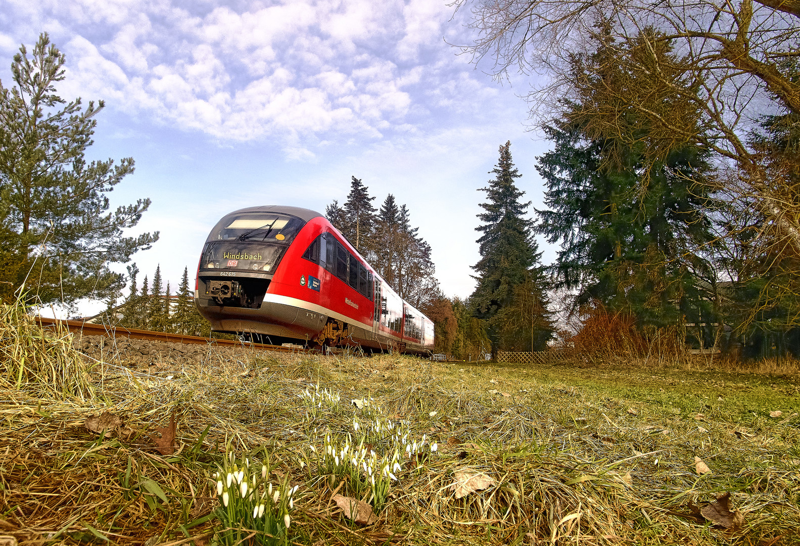 Neuendettelsauer Frühlingsgruß