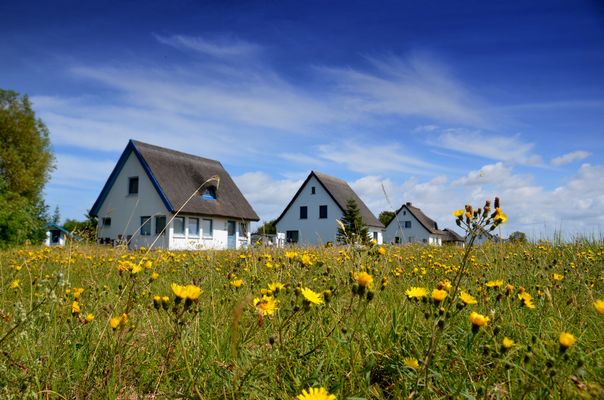 Neuendorf Insel Hiddensee