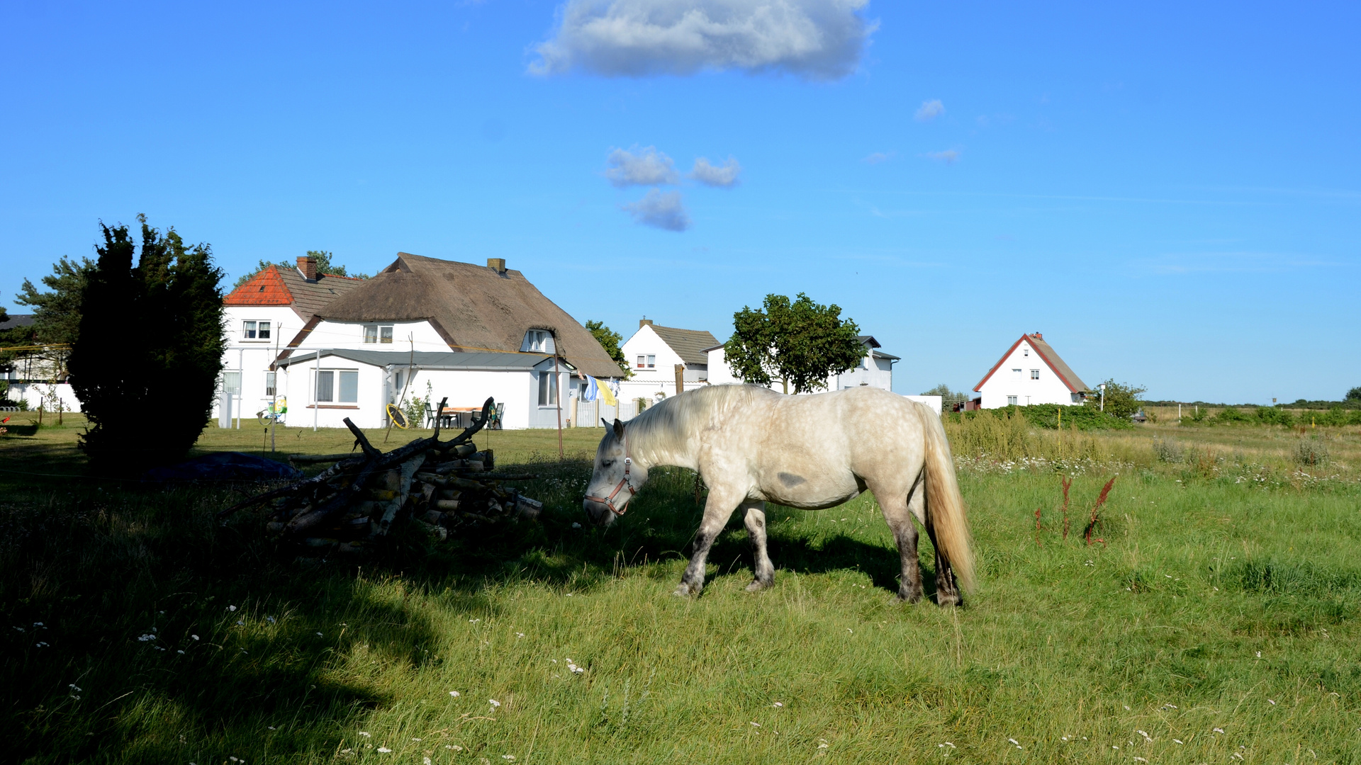 Neuendorf ist doch traumhaft