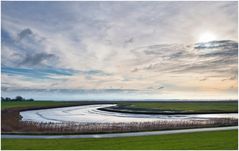 Neuenfeld an der Elbe