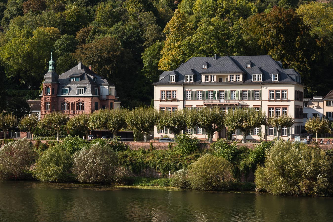 Neuenheimer Landstraße in Heidelberg