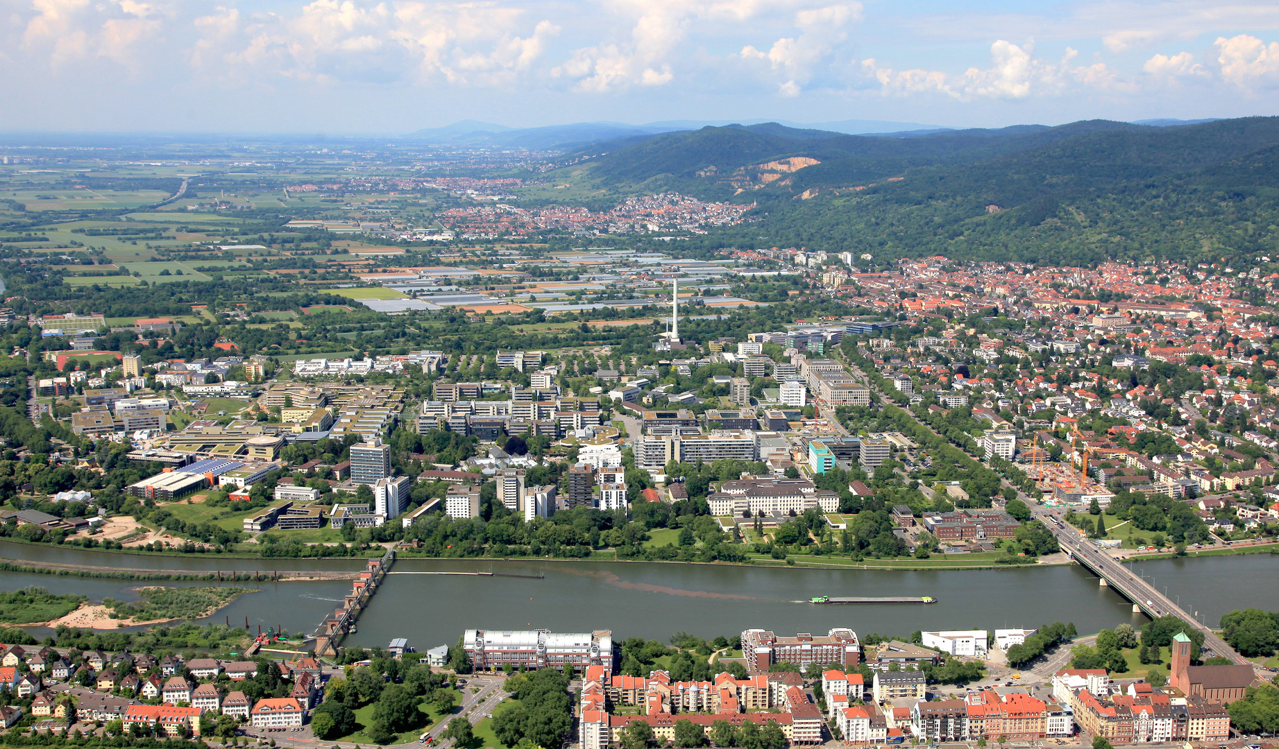 neuenheimerfeld heidelberg