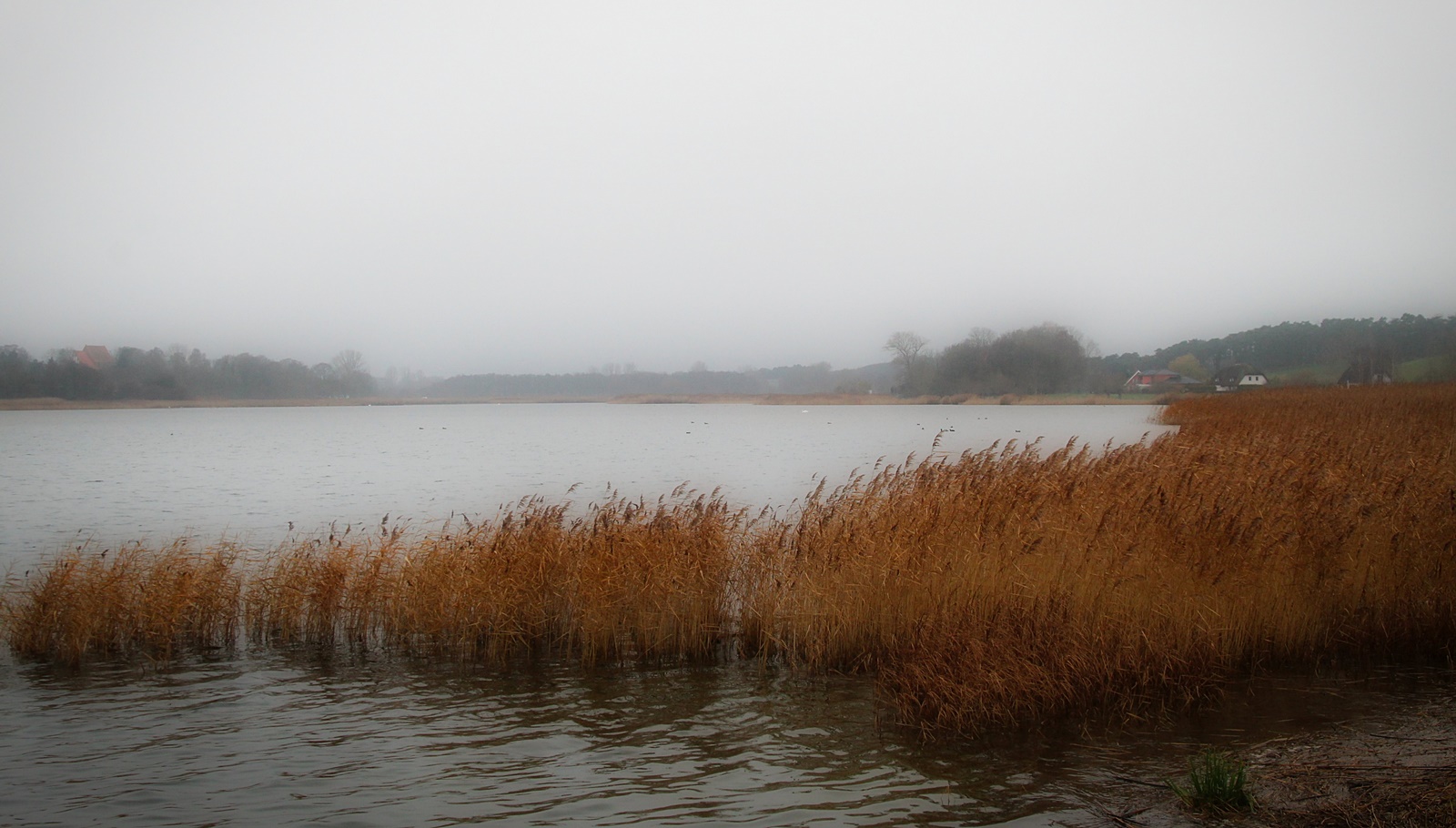 Neuenkirchen (Rügen)Lebbiner Bodden.