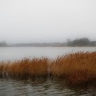 Neuenkirchen (Rügen)Lebbiner Bodden.