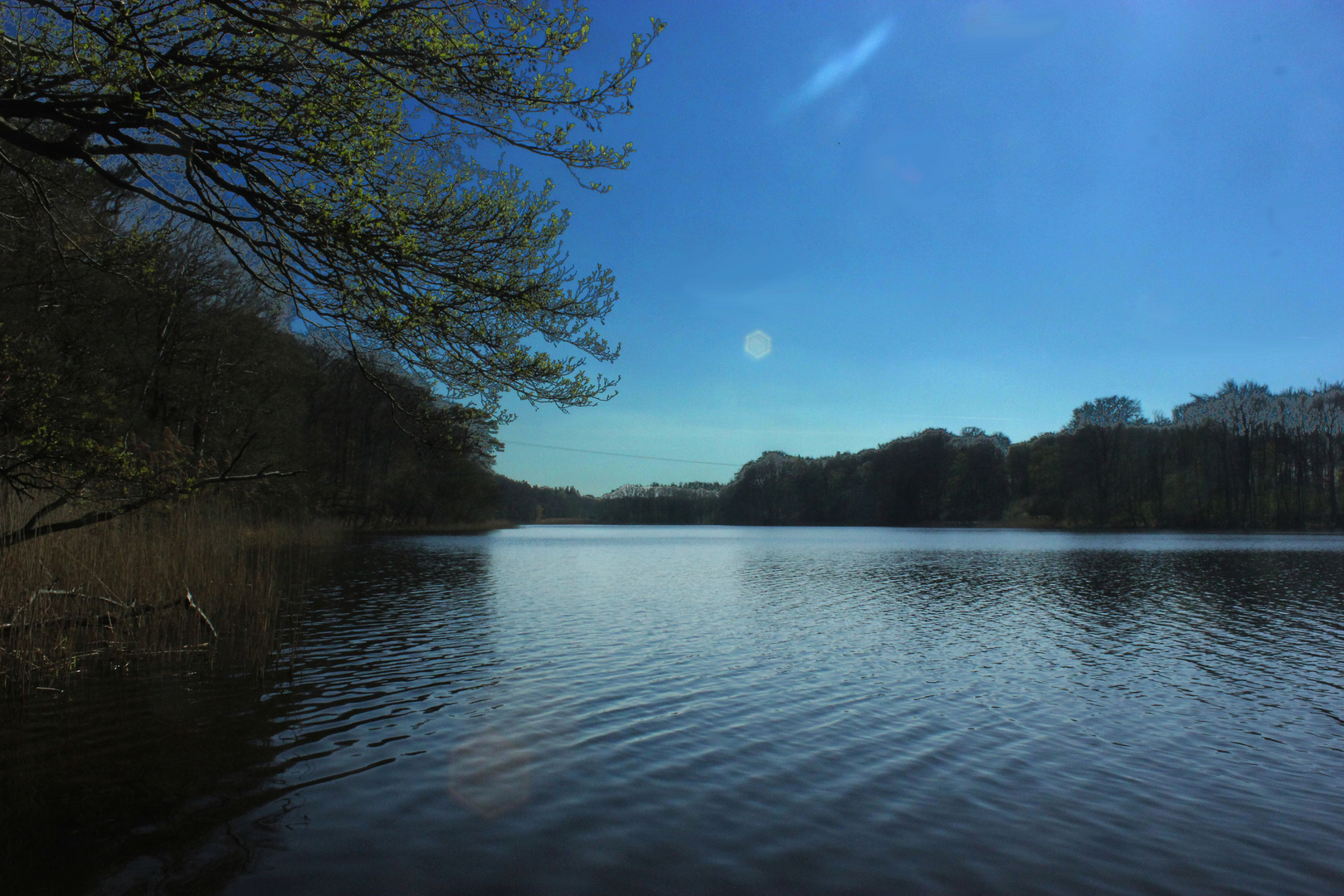 Neuenkrichener See bei Zarrentin am Schalsee, Mecklenburg-Vorpommern