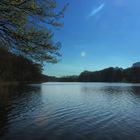 Neuenkrichener See bei Zarrentin am Schalsee, Mecklenburg-Vorpommern