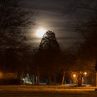 Neuensteiner Park im Vollmond