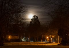 Neuensteiner Park im Vollmond