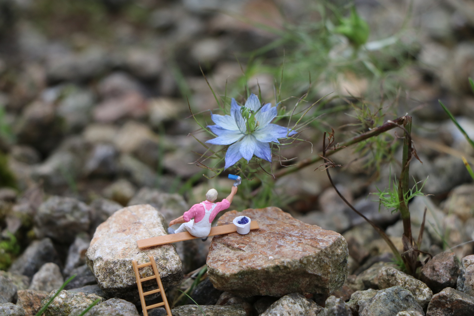 Neuer Anstrich für die Blüte