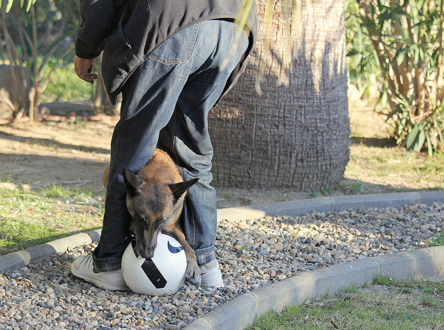 neuer Ball, neues Glück