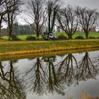 Neuer Baum-Schnitt im Spiegel