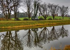 Neuer Baum-Schnitt im Spiegel