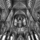 Neuer Dom_5