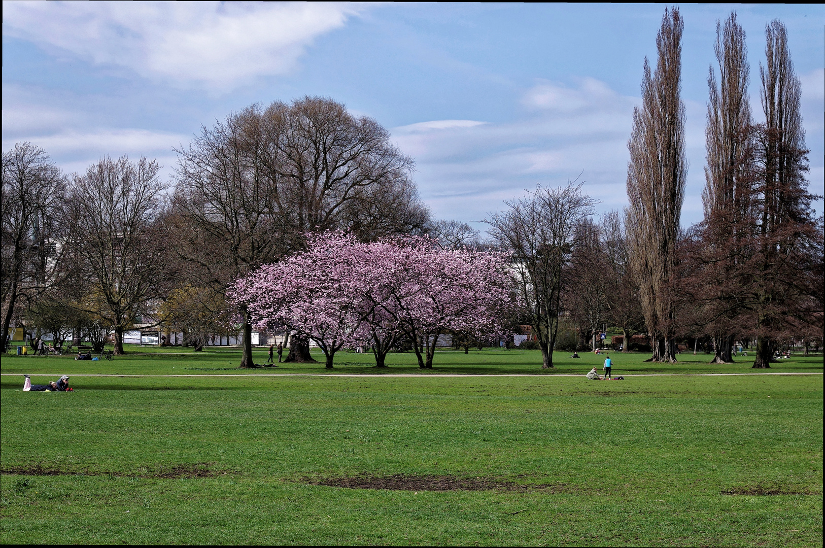 Neuer Frühling