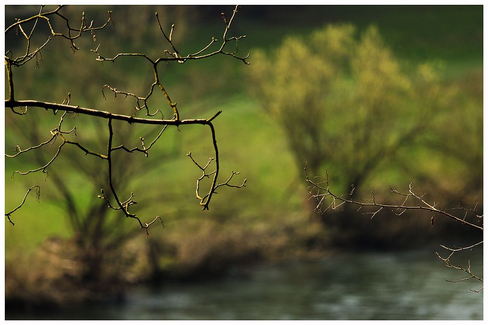 ... neuer Frühling ...