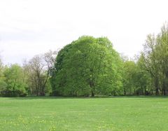 Neuer Garten Potsdam