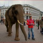 Neuer Gast in Wiesbaden