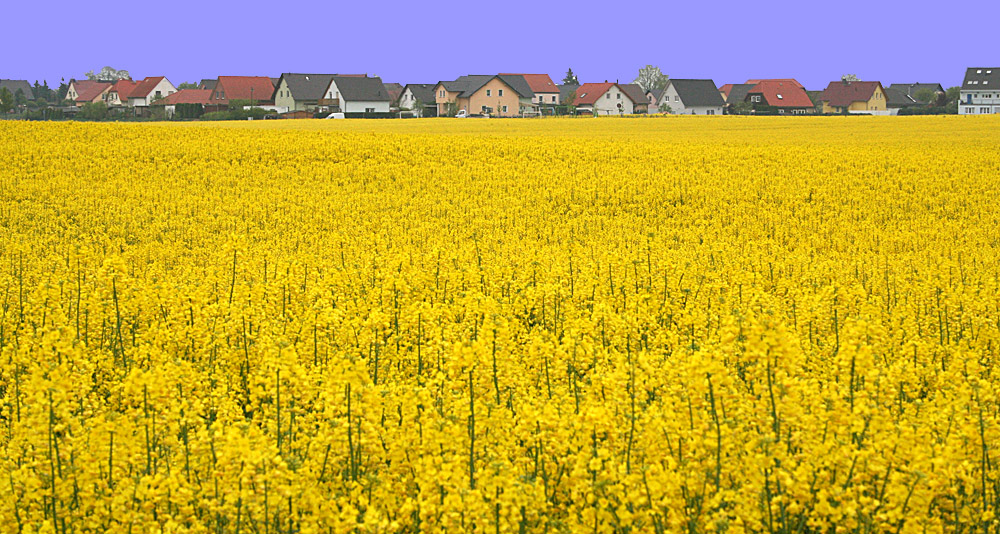 Neuer Himmel an einem trüben Tag, darf man das überhaupt so machen??