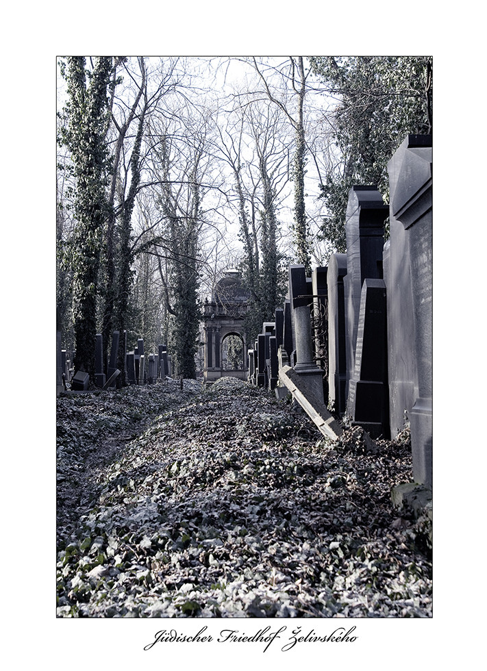 Neuer Jüd.Friedhof in Prag 2