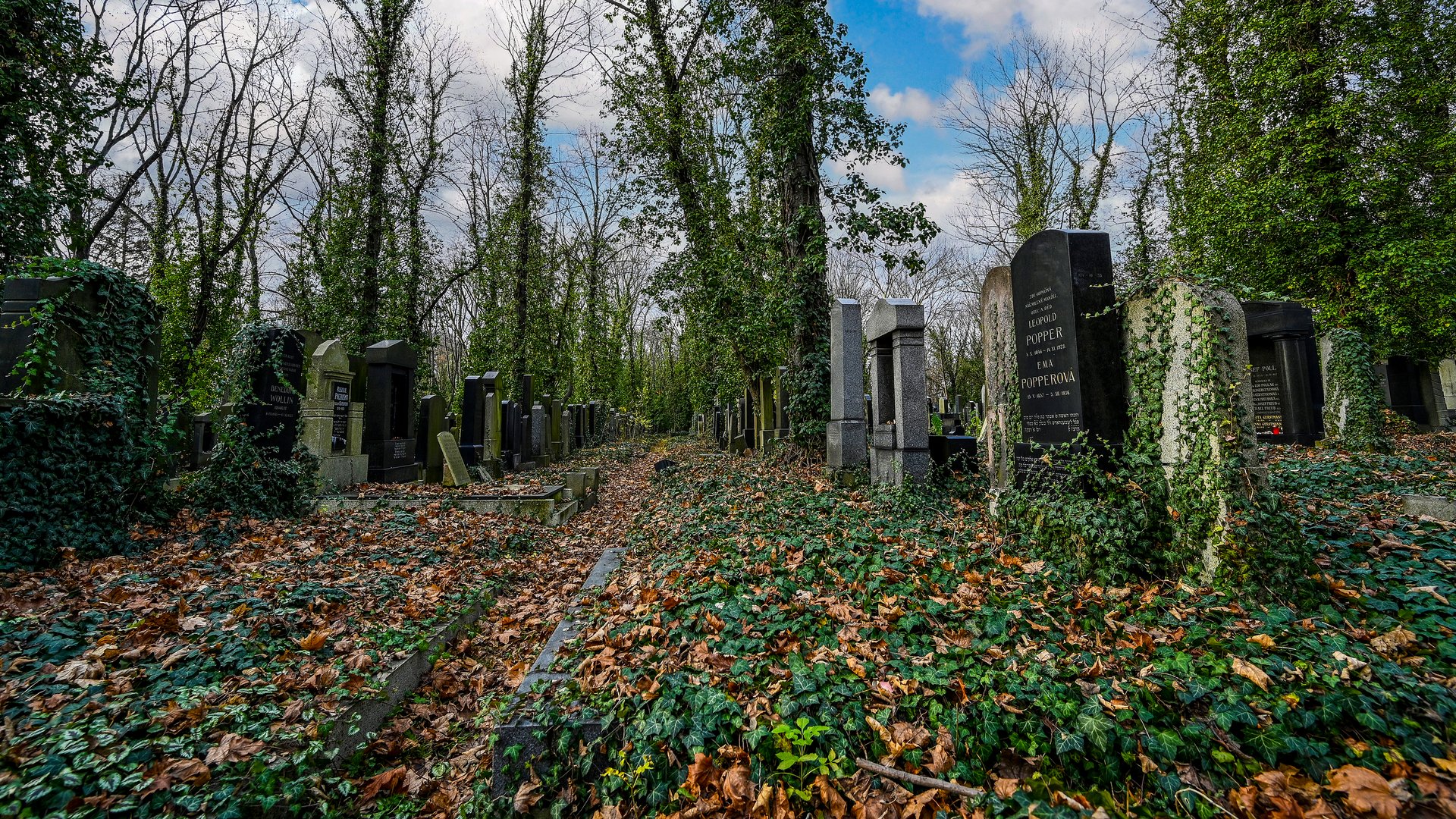 Neuer Jüdischer Friedhof 04