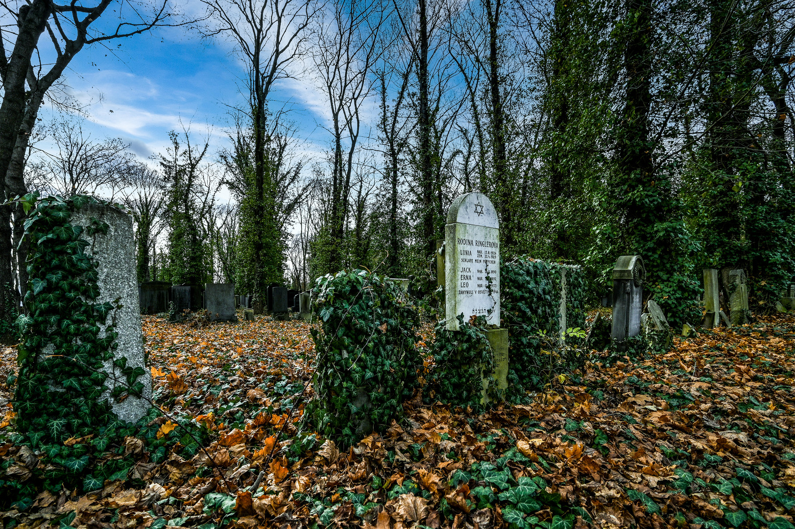 Neuer Jüdischer Friedhof 07